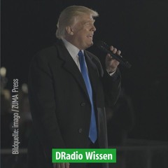 O-Ton-Collage: Trump-Zitate