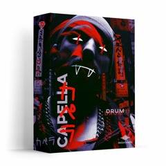 WeGotSounds.com - CVPELLV DrumKit [preview]