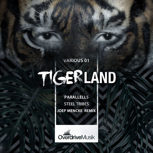 Parallells - Steel Tribes (Joep Mencke Remix) (Snippet)