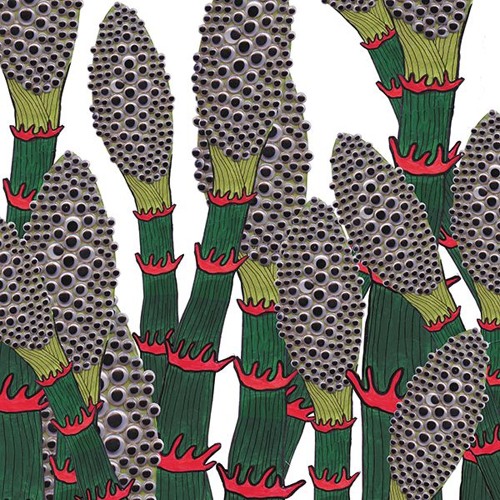 Part Chimp - Namekuji