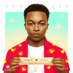 Ayo Jay - Want You