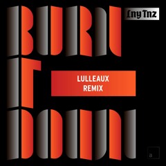 LNY TNZ - Burn It Down (Lulleaux Remix) OUT NOW!