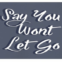 Say You Won't Let Go - Cover