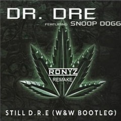 Dr. Dr3 ft. Sn00p Dogg - St1ll D.R.E. (W&W Festival Mix) [Ronyz Remake]