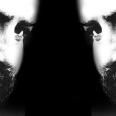 Saçlarına Yıldız Düşmüş (Ahmet Kaya Trap Remix)