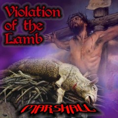Violation of the Lamb
