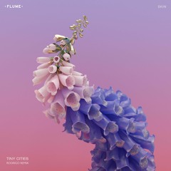 Flume - Tiny Cities feat. Beck [Lyéur Edit]
