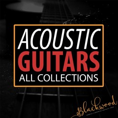 Acoustic Guitars All Collections 7 in 1 Bundle (Guitar Loops/Fx) from BLACKWOOD Samples