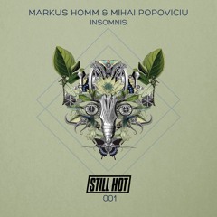 2. Markus Homm & Mihai Popoviciu -  Insomnis (Benny Grauer Remix) SNIPPET