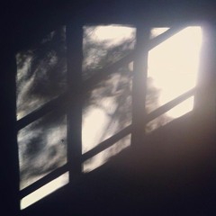 Up North (Ode to Sprucedale)