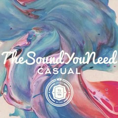 Best of The Sound You Need 2017 Mix