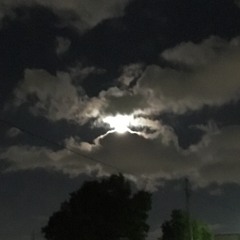 ＜7th＞Now Or Never