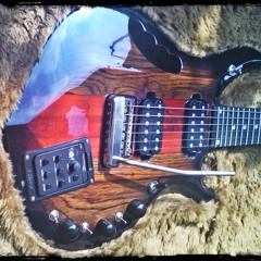 FRAY GUITARS - Type EMPEROR - FH SERIES