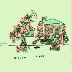 Druid Pines