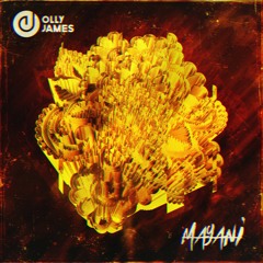 Olly James - Mayani (Original Mix)