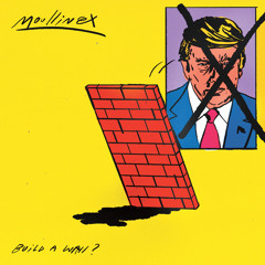 Moullinex - Build a Wall?