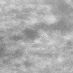 Botanical Moon Garden