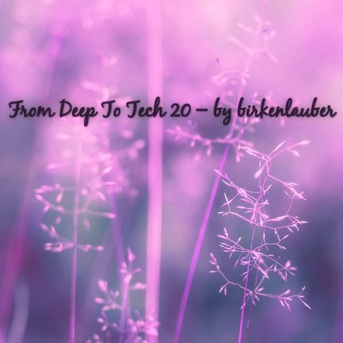 FROM DEEP TO TECH 20 - by birkenlauber