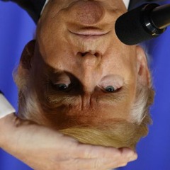 Undoing Trump [disquiet0264]