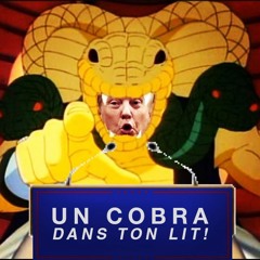 Un Cobra dans ton Lit !