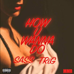 SASS - How You Wanna Do feat. 828TRiG