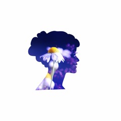 milky chance flashed junk mind