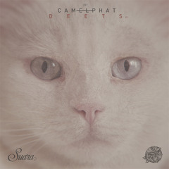 CamelPhat - The System - Suara Music Preview