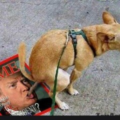 BOOF PACK IN MY LAP (Prod. Aiedyn)