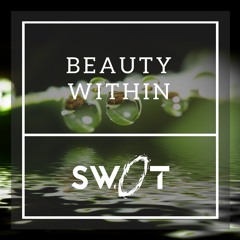 Beauty Within (Original Mix)