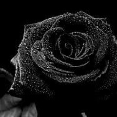 The People Choice Mix