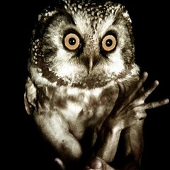 Hibou Variable 001