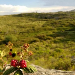 ellaTrabajabaEnElCine