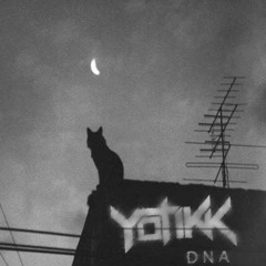 Yotikk - DNA
