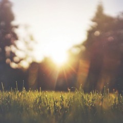 I Miss The Summer Air