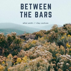 Between the bars (cover)