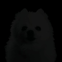 Goodbye to a Dog (Goodbye to a world + Gabe the Dog)