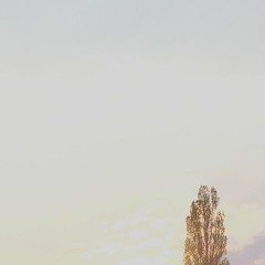 possible end