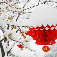 Merry Chinese New Year