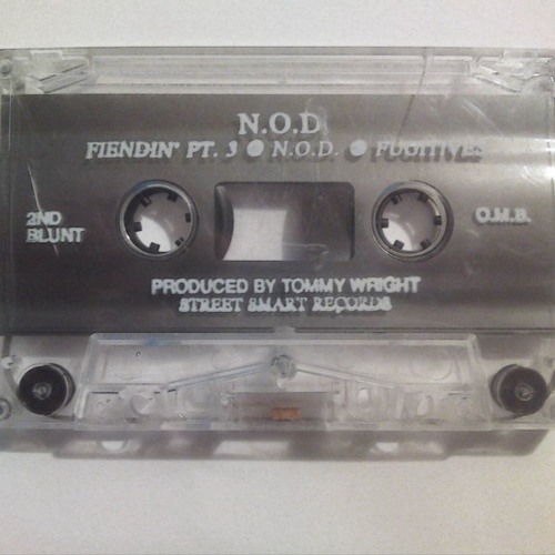 NIGGAZ OF DESTRUCTION - FUGITIVES