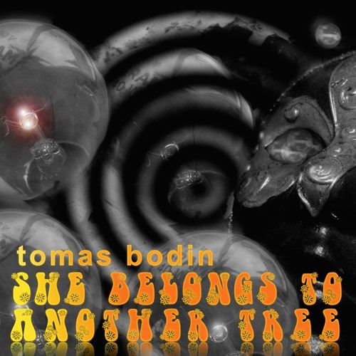 Stream Tomas Bodin  Listen to She belongs to another tree playlist online  for free on SoundCloud