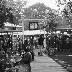big bush, big tree, watch your step 2013