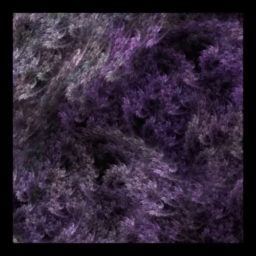 Hybrid Discovery [TGP007]