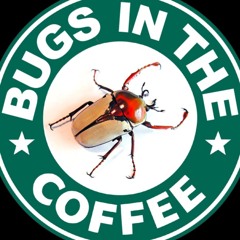 Bugs in the Coffee