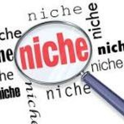 How to Become an Expert in Your Niche Easily
