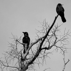 Home Demo 2 (Band Instrumental)