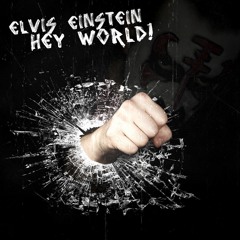 Best of Elvis Einstein