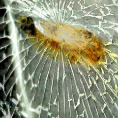 Killswitch Engage - Reject Yourself (Cover)