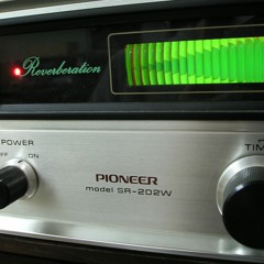 Test Pioneer SR - 202W