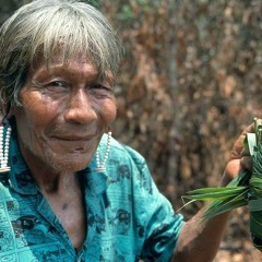 Tome Ciência: O conhecimento indígena