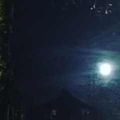 The Moon